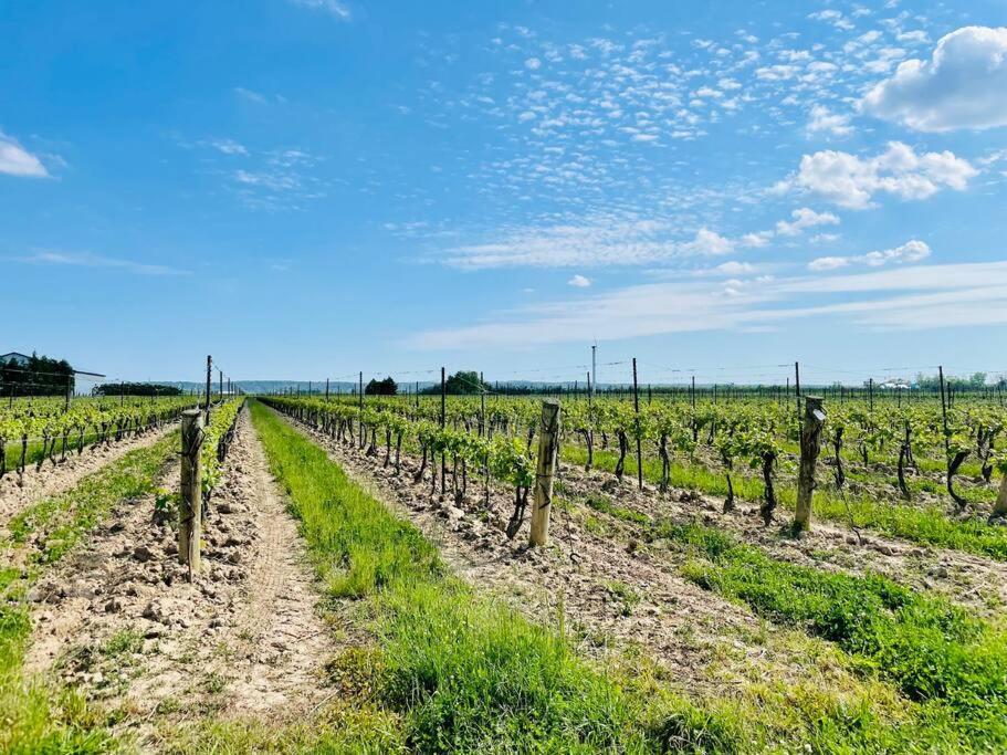 Вілла Waterfront Niagara-On-The-Lake Farmhouse On A Vineyard Екстер'єр фото